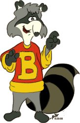 Bert Raccoon